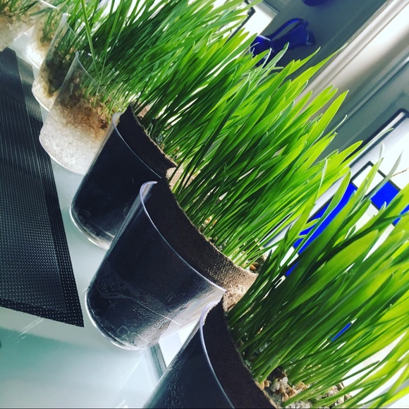 Meet your Posher, Suzanne - Picture 4 of 4